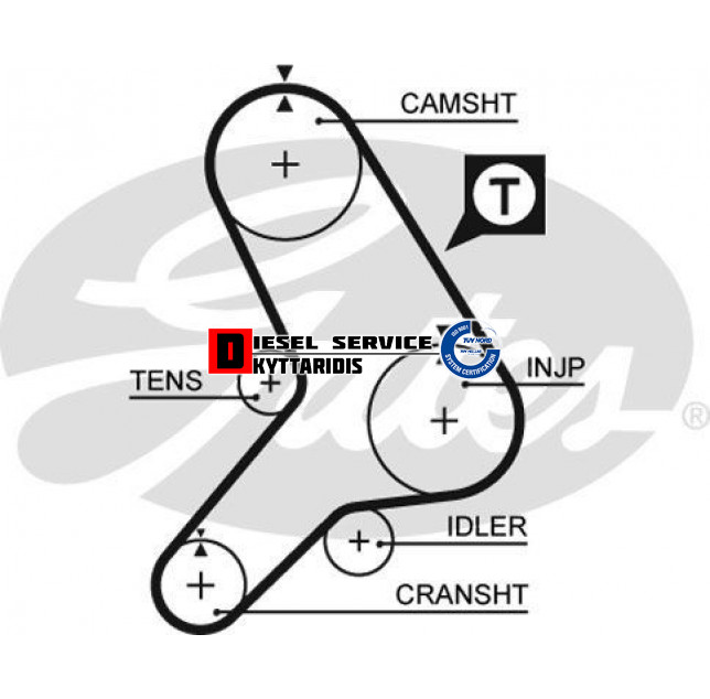 Ιμάντα χρονισμού Ιμάντα χρονισμού
