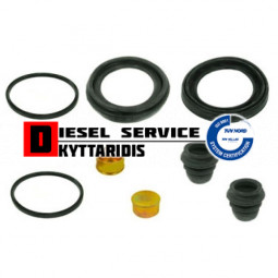 Δαγκάνας εμβόλων σετ επισκευής