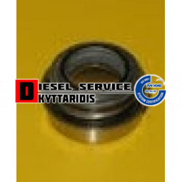 Καρβουνάκι αντλίας νερού