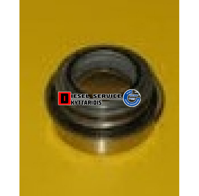 Καρβουνάκι αντλίας νερού