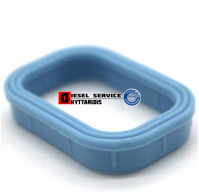 Φλάτζα εισαγωγής