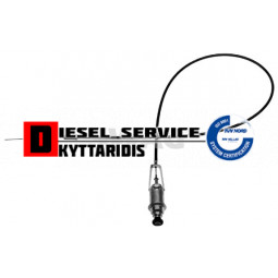 Ντίζα σβησίματος