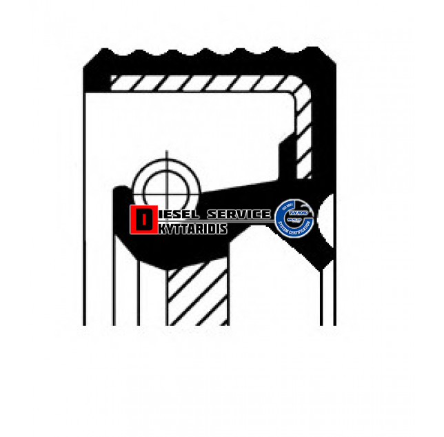 Τσιμούχα 54*36*10*13.5 R B1BASLSFRDX7