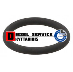 Ο-RING ακροφύσιου σετ PLD