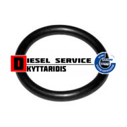 Ο-RING 107.1*3.5
