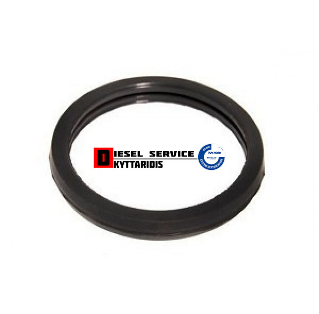 Λάστιχο θερμοστάτη