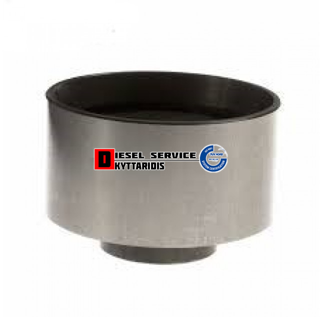 Ρουλεμάν τρελό χρονισμού