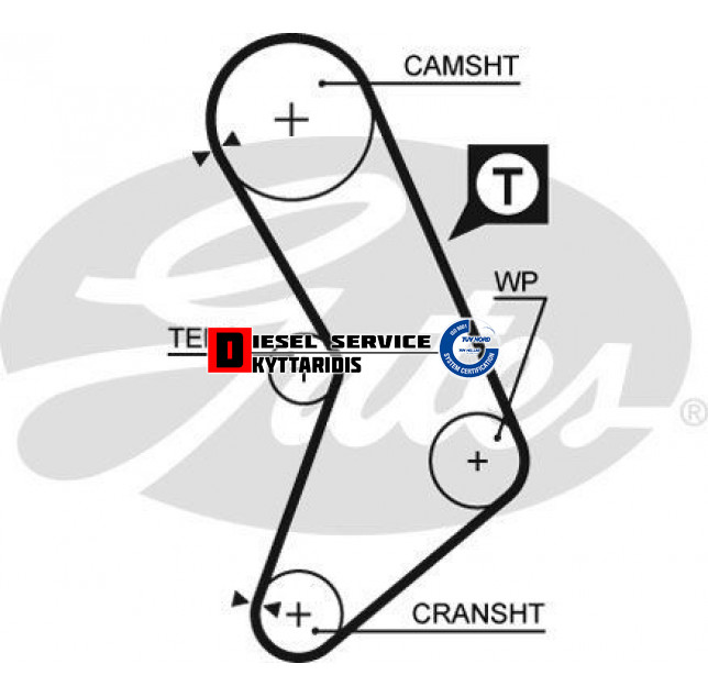 Ιμάντα χρονισμού Ιμάντα χρονισμού