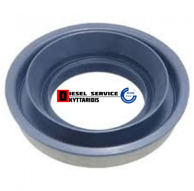 Τσιμούχα πινίου