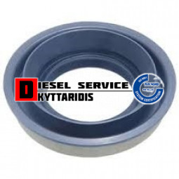 Τσιμούχα πινίου