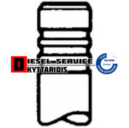 Βαλβίδα εισαγωγής