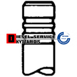 Βαλβίδα εισαγωγής