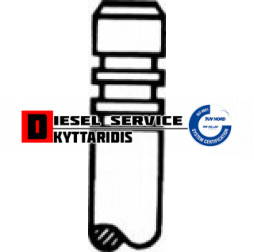 Βαλβίδα εξαγωγής