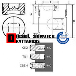 Έμβολο Φ100mm STD