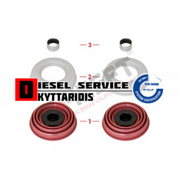 Κάλυμμα και έμβολο δαγκανας