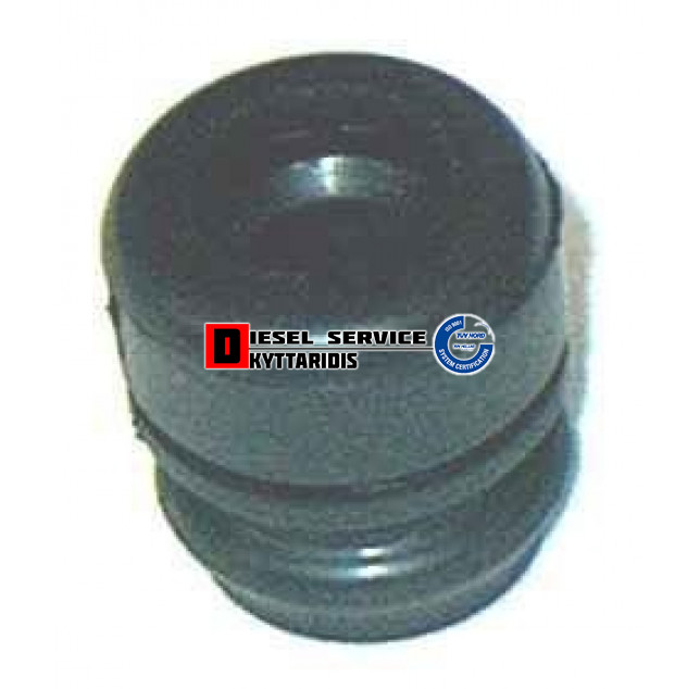 Βάση κορμού