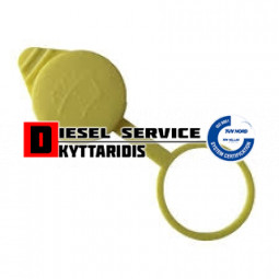 Καπάκι παγουριού υρών παρπρίζ