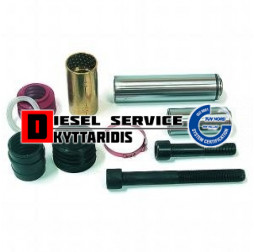 Δαγκάνας ποίροι και καλύμματα εμβόλων σετ