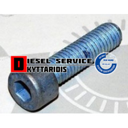 Βίδα άλλεν 6*25*1.0 10.9