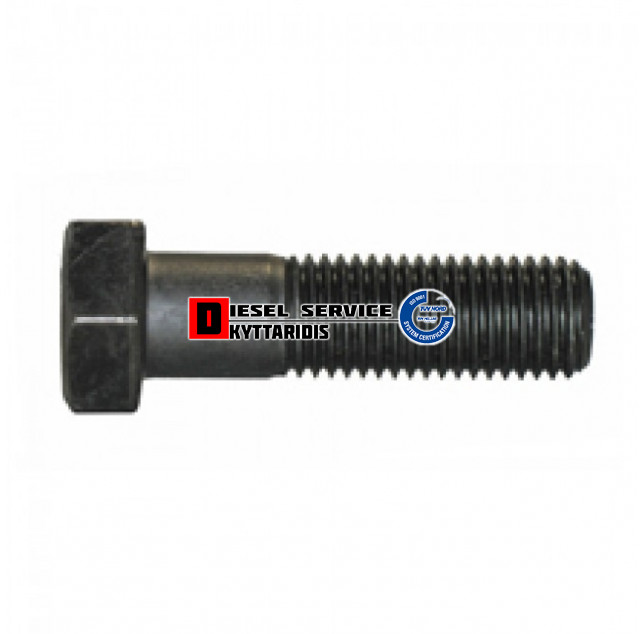 Βίδα 20*70*2.5 10.9