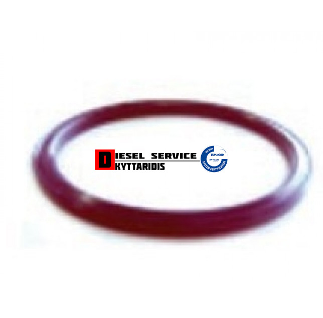 Ο-RING φλατζών 3000PSI Φ44.5/Φ47.6