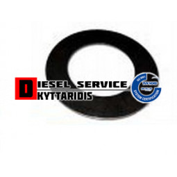 Ροδέλα πείρου καρπουζιού