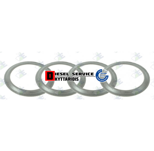 Ροδέλα διαφόρικού Ροδέλα διαφόρικού