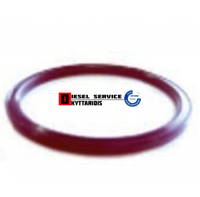 Ο-RING φλατζών 6000PSI πλακέ μπλέ ή μαύρα Φ38.1/Φ41.3