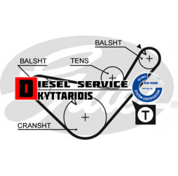 Ιμάντα χρονισμού