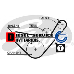 Ιμάντα χρονισμού