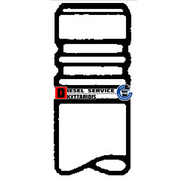 Βαλβίδα εξαγωγής 31*7*95.6