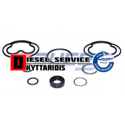 Αντλίας τιμονιού σετ φλάτζες