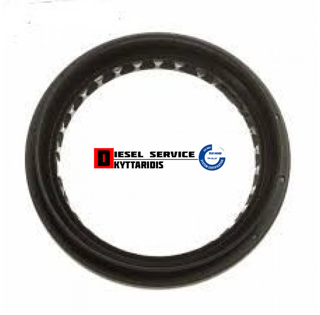 Τσιμούχα ουράς σασμάν