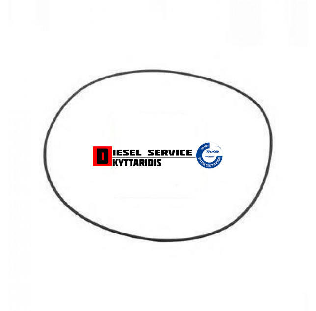 Ο-RING 295*4