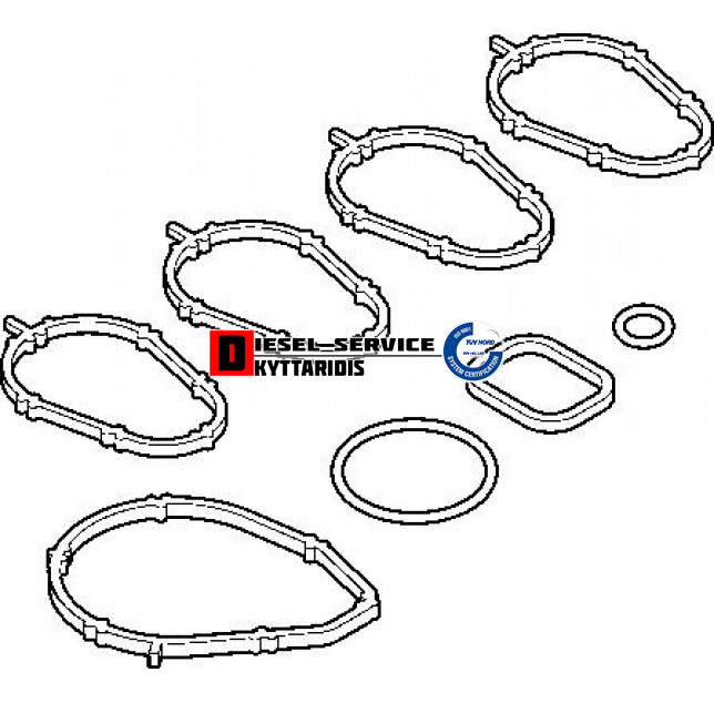 Φλάτζα πολλαπλής εισαγωγής σετ