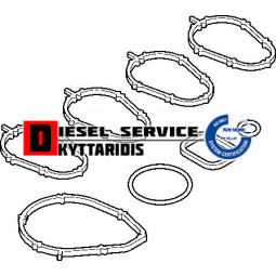 Φλάτζα πολλαπλής εισαγωγής σετ