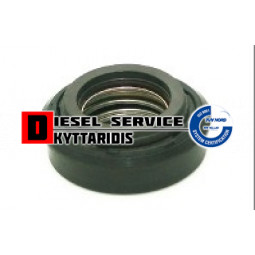 Καρβουνάκι αντλίας νερού