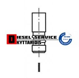 Βαλβίδα εξάγωγης 32.4*6*119.95