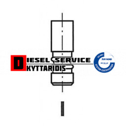 Βαλβίδα εξάγωγης 32.4*6*119.95