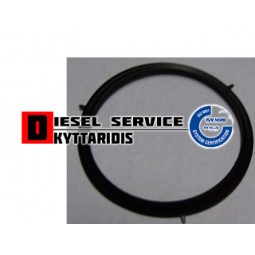 Φλάτζα βαλβίδας EGR