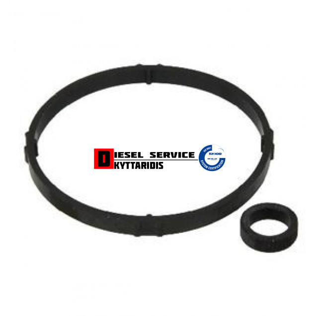 Λαστιχάκια βάσης φίλτρου λαδιού σετ