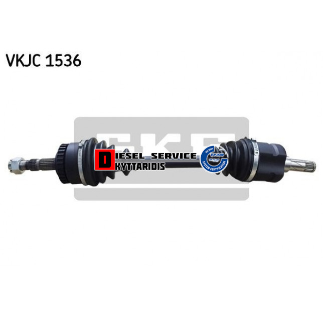 Ημιαξόνιο L