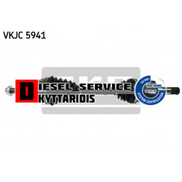 Ημιαξόνιο L