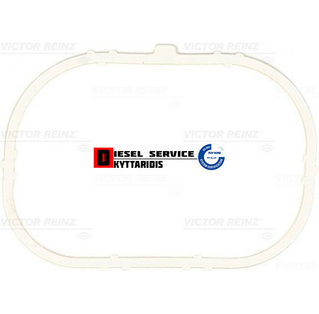 Φλάτζα πολλαπλής εισαγωγής