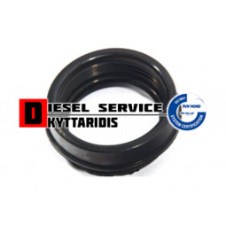 Λαστιχάκι εισαγωγής