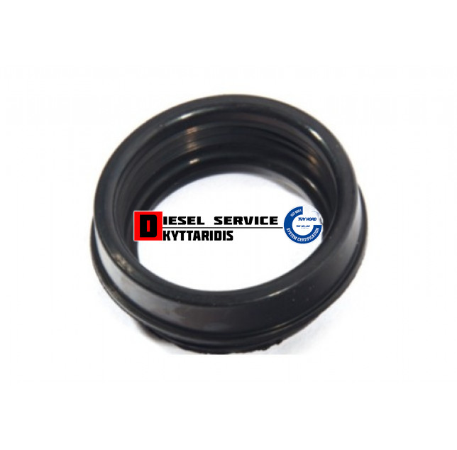 Λαστιχάκι εισαγωγής