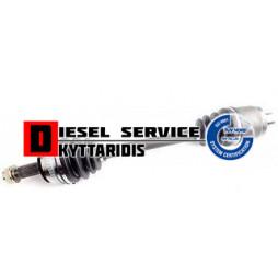 Ημιαξόνιο R