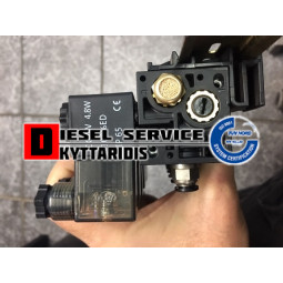 Φίς πινίου N1 με λαμπάκι 24V