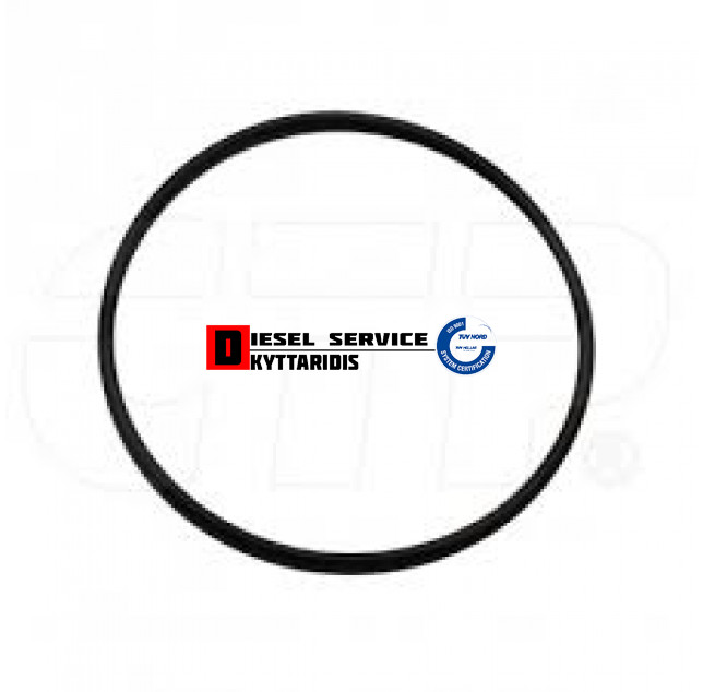 Ο-RING 94.84*3.53