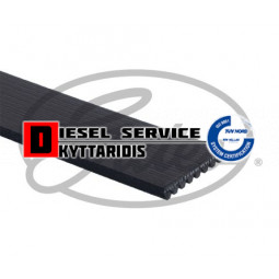 Ιμάντα 8PK1535